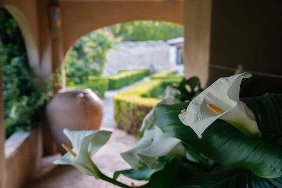 HOTEL RURAL HORT DE FORTUNYO - photo 13