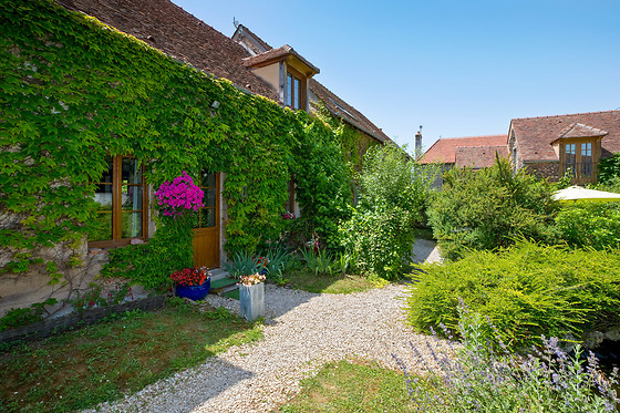 La Vigne du Pont - photo 2