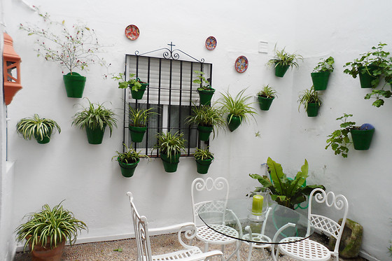 HOSPEDERÍA LUIS DE GÓNGORA - photo 3