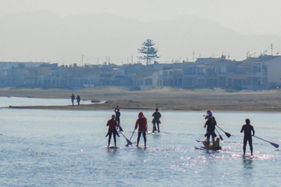 HOTEL PLAYA OLIVA - photo 3