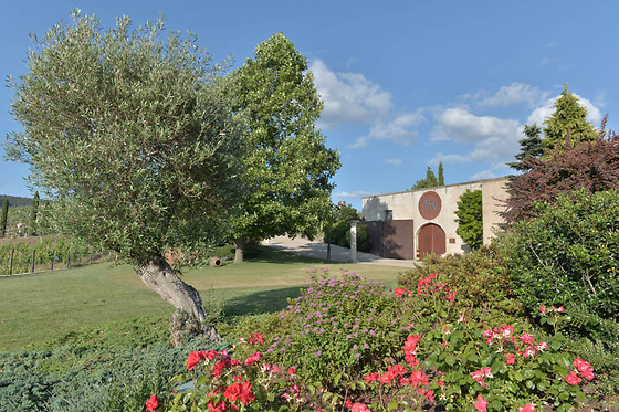 BODEGAS REGINA VIARUM - photo 0