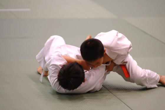 BOWGYM - photo 8