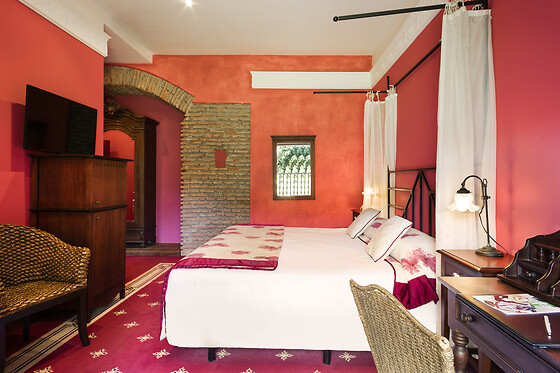 ABBA PALACIO DE SOÑANES - photo 6