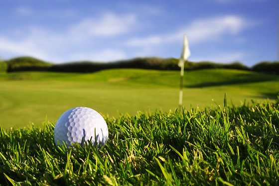Sake Golf - photo 1