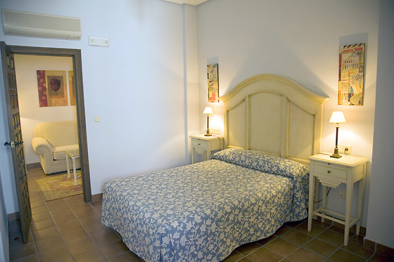 HOTEL PALACIO LAS MANILLAS - photo 25