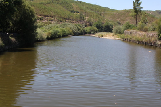 Aldeia Oliveiras - photo 10