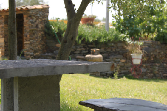 Aldeia Oliveiras - photo 11