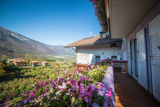 Albergo Alt Spaur - photo 15