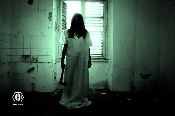 THE HIVE ESCAPE - photo 0