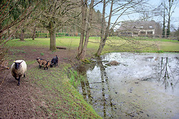 Le domaine des terres du Thil