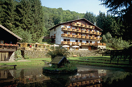 Wolffhotel