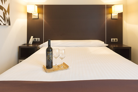 HOTEL PLAZAOLA - photo 3