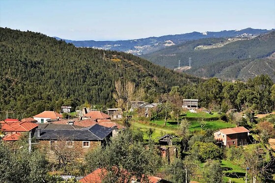 Corga Tours - photo 27