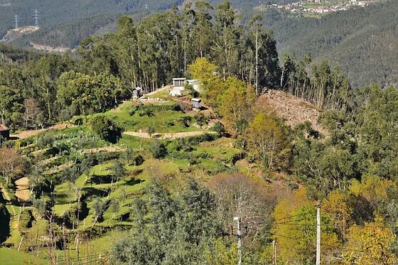 Corga Tours - photo 28