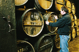 Le Cep enchanté