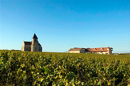 Domaine Brocard