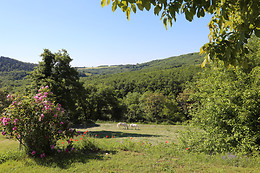 Serène