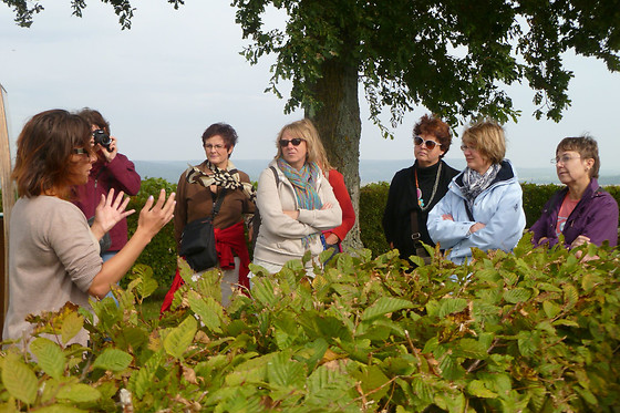 Sentier du Vigneron - photo 2