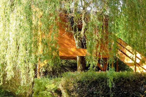 Espace Nature au creux du chênes - photo 3