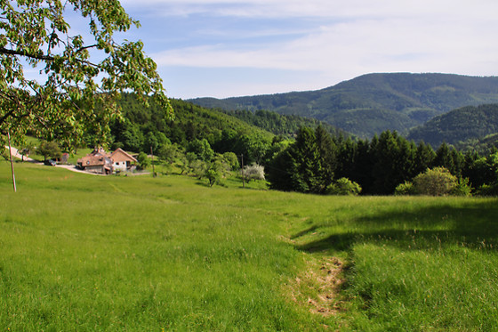Ferme SAXERMATT - photo 11