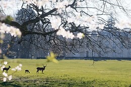 Demeures de Campagne Domaine de Maffliers