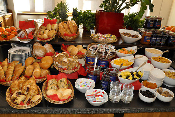 Hotel Bellinzona Sud*** - photo 1
