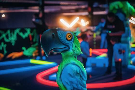 MI12 Fun Center Gembloux - photo 6