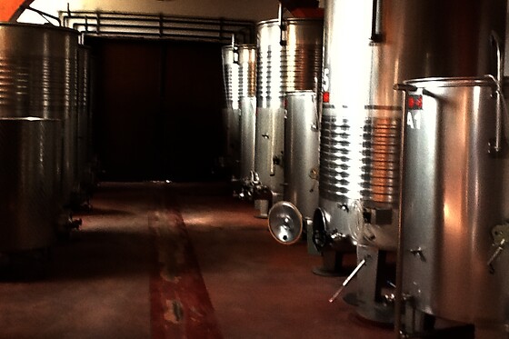 BODEGAS Y VIÑEDOS BARON D'ALBA - photo 8
