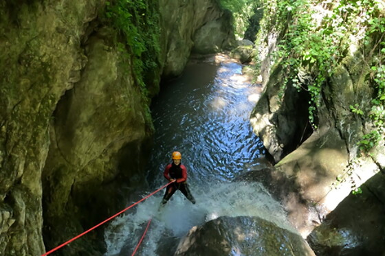 Pep'S Nature - photo 17