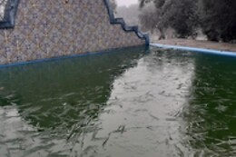 CASAS DO SOUTO