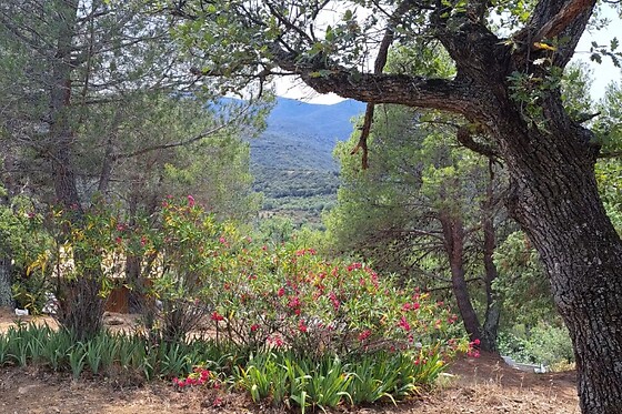 Les Cabanes d'ErbeFol - photo 3