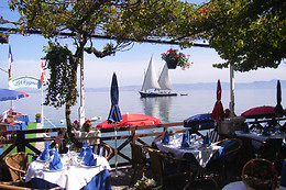 Hôtel Les Cygnes