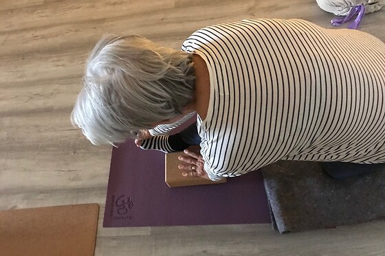 Shala Academia de Yoga - photo 4