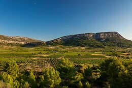 Domaine Vents du Sud