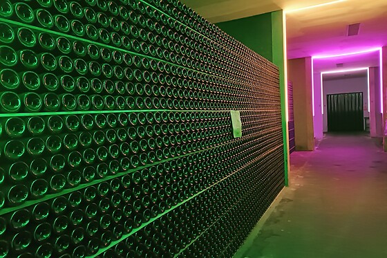 LA ROSE PAUILLAC - photo 1
