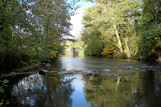 Domaine de la Dame de Laurière - photo 2
