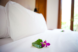 HOTEL  DELPHOS
