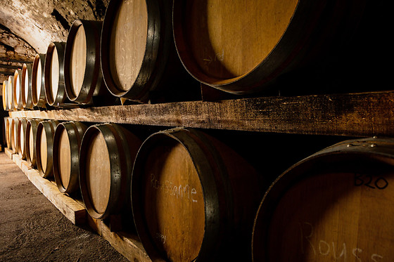 Domaine Terre des 2 Sources - photo 1