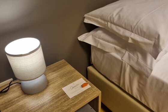 Phi Hotel Homy Druento - photo 3