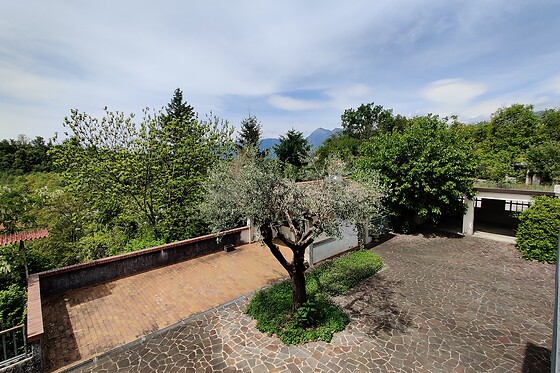 All'Antico Ulivo - photo 4