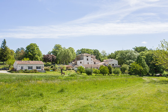 Les Anes de Forcalquier - photo 5