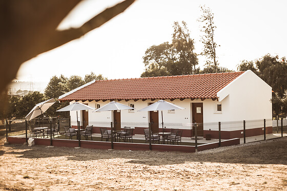 Quinta das Caçadoras - photo 14