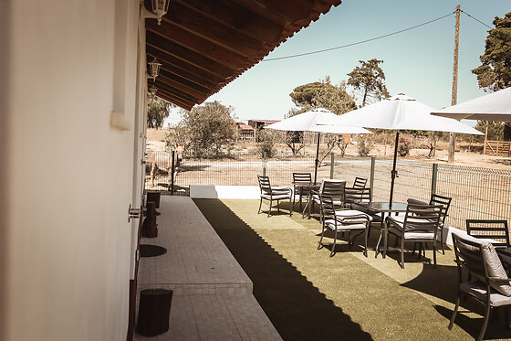 Quinta das Caçadoras - photo 12