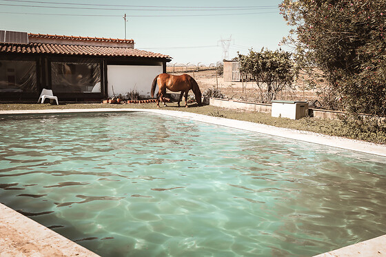 Quinta das Caçadoras - photo 1
