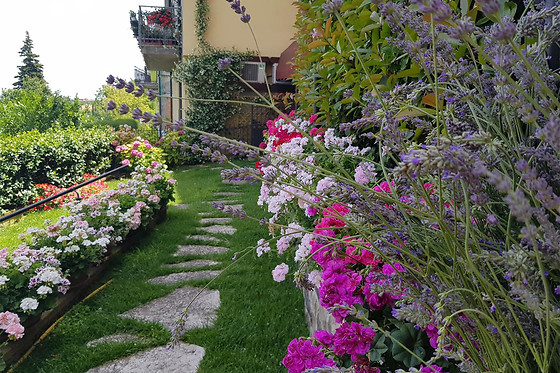 Albergo Diffuso Il Poggetto - photo 4