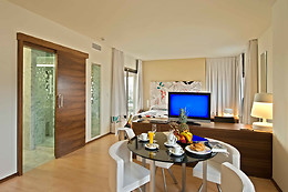 HOTEL SPA EXECUTIVE SPORT