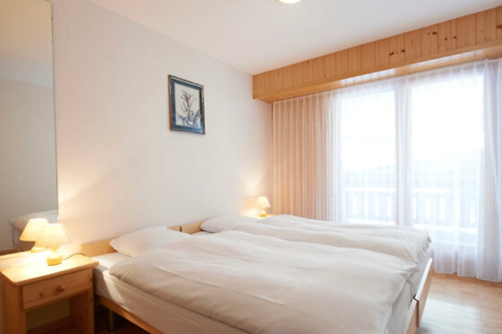 Hôtel des bains d'Ovronnaz - photo 11