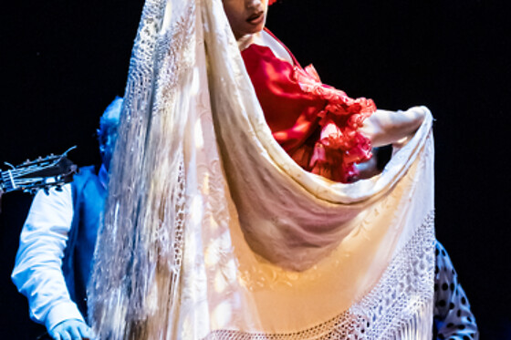 TEATRO FLAMENCO GRANADA - photo 5