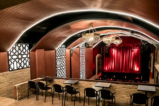 TEATRO FLAMENCO GRANADA - photo 1