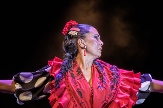 TEATRO FLAMENCO GRANADA - photo 9